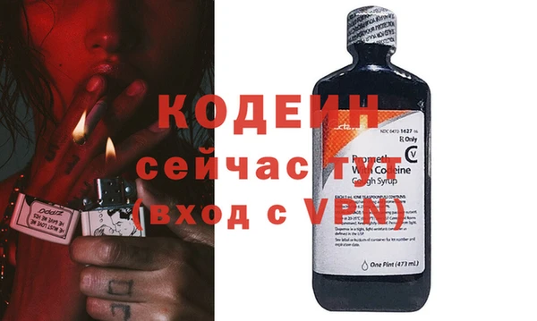 прущие грибы Михайлов