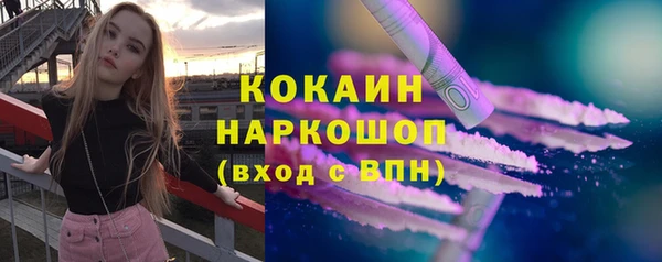 прущие грибы Михайлов