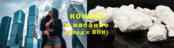 прущие грибы Михайлов