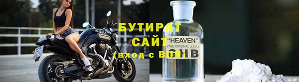 прущие грибы Михайлов