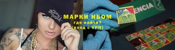 прущие грибы Михайлов