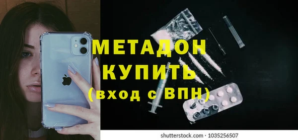 прущие грибы Михайлов