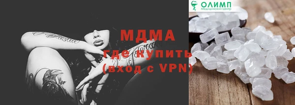 прущие грибы Михайлов
