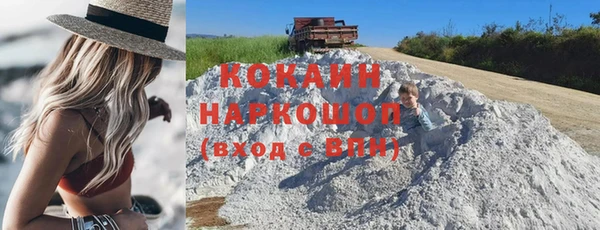 прущие грибы Михайлов