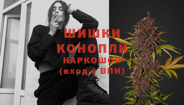 прущие грибы Михайлов