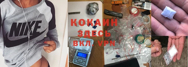 твердый Михайловка