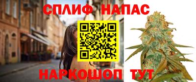 apvp Вязьма