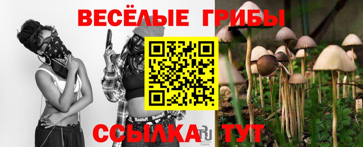 Галлюциногенные грибы GOLDEN TEACHER Моршанск
