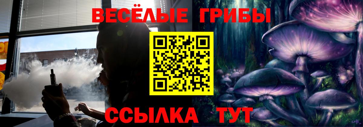 Моршанск  Псилоцибиновые грибы Cubensis  Вход с VPN 